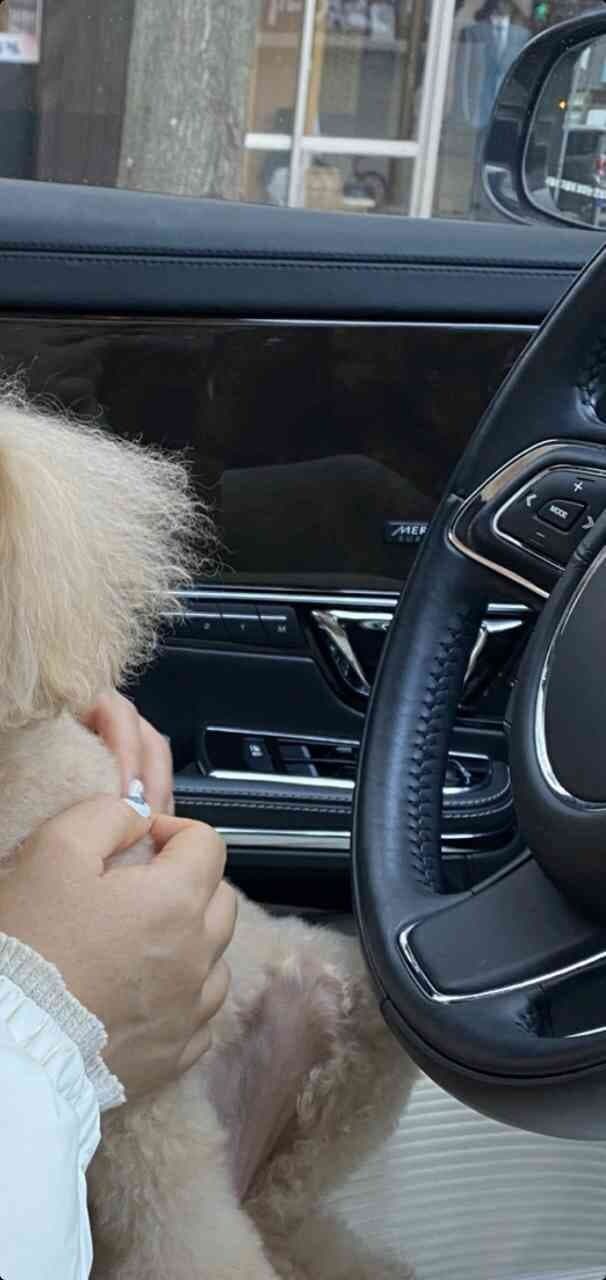 차량 핸들과 도어 사진 보고 어떤 차량인지?? 게시글 썸네일