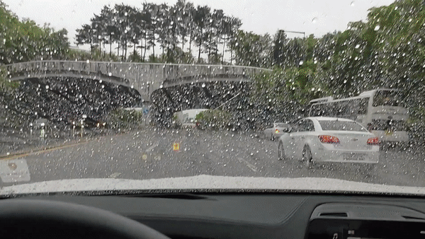 [진리명제] 세차후 비..ㅠㅠ 게시글 썸네일