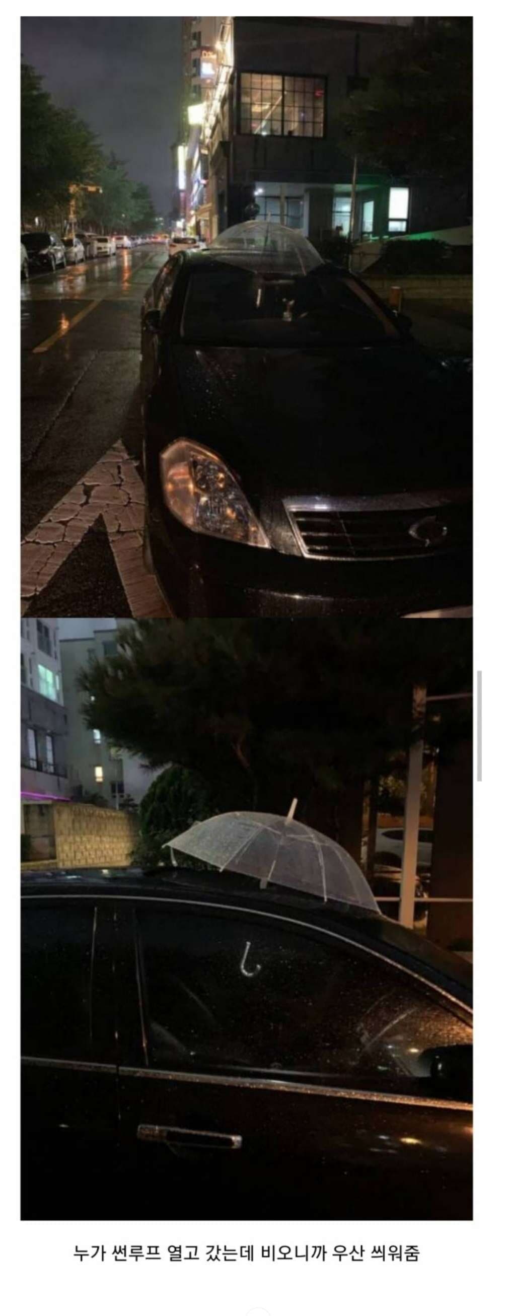 우산이 필요했던 자동차 게시글 썸네일