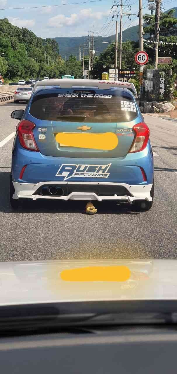 유머-동물학대!! ㅜㅜ 게시글 썸네일