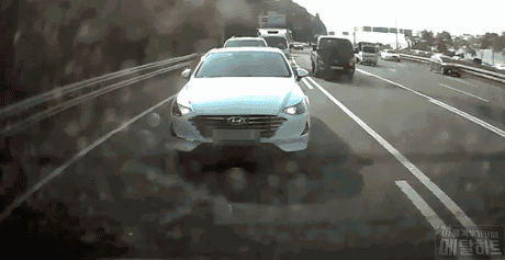 [펌] 힐링 동영상~^^ 게시글 썸네일