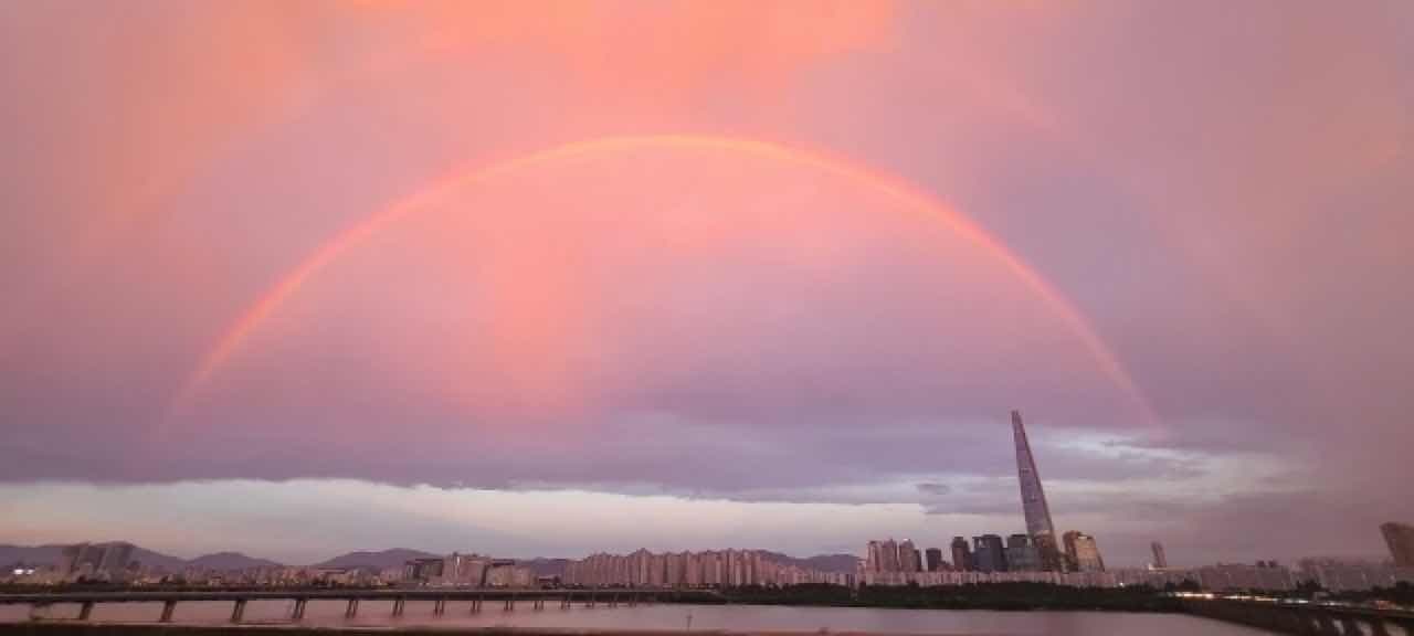 마포대교서 버스 세운 버스기사분.. 게시글 썸네일