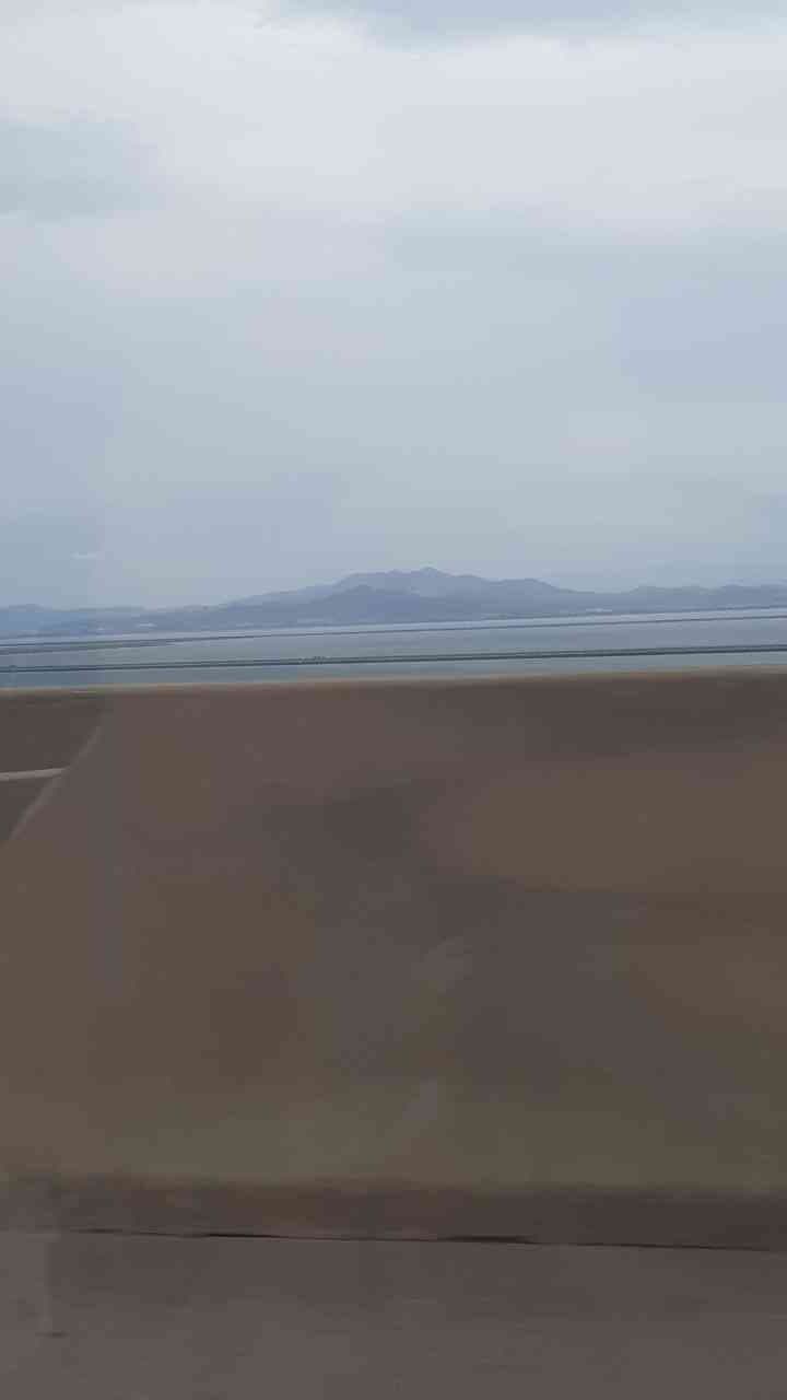 효도 했다 게시글 썸네일