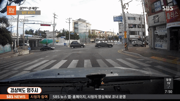 아이들의 생명을 구한 운전자? 게시글 썸네일