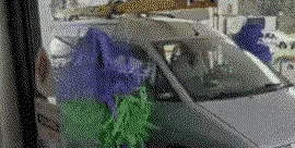 (유머)극한직업 세차장알바 게시글 썸네일