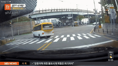 (펌) 크게 다칠 뻔한 킥라니 게시글 썸네일