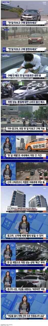 반가운, 그렇지만 누군가에겐 슬픈 소식이군요 게시글 썸네일