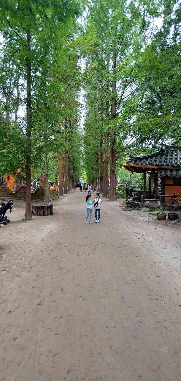 좋은 아침입니다~! 게시글 썸네일