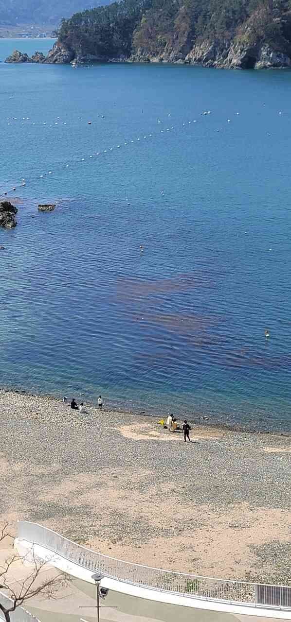 비다보고 힐링하세요~ 게시글 썸네일