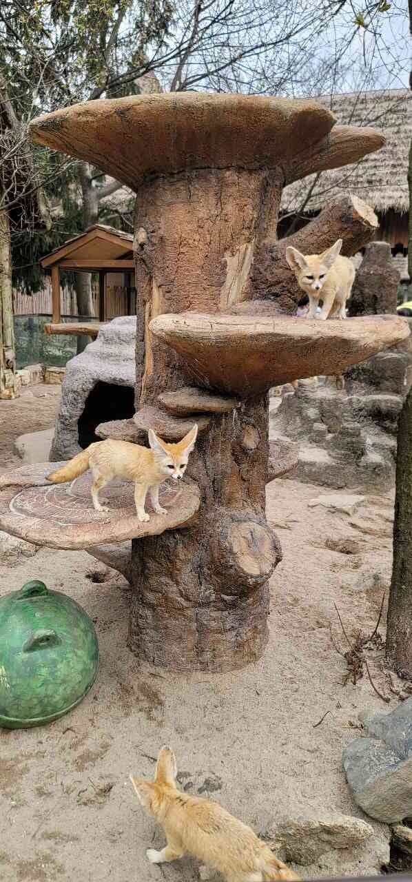 날씨가 추워요 게시글 썸네일