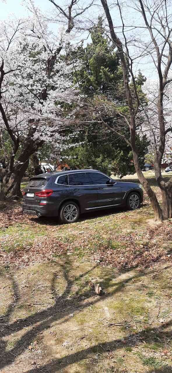 X3 수원 서호공원 근처 게시글 썸네일