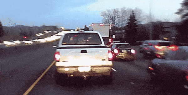 [펌] 신나서 비켜줌 게시글 썸네일