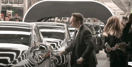 오늘자 일론머스크의 테크노 킹 댄스  게시글 썸네일