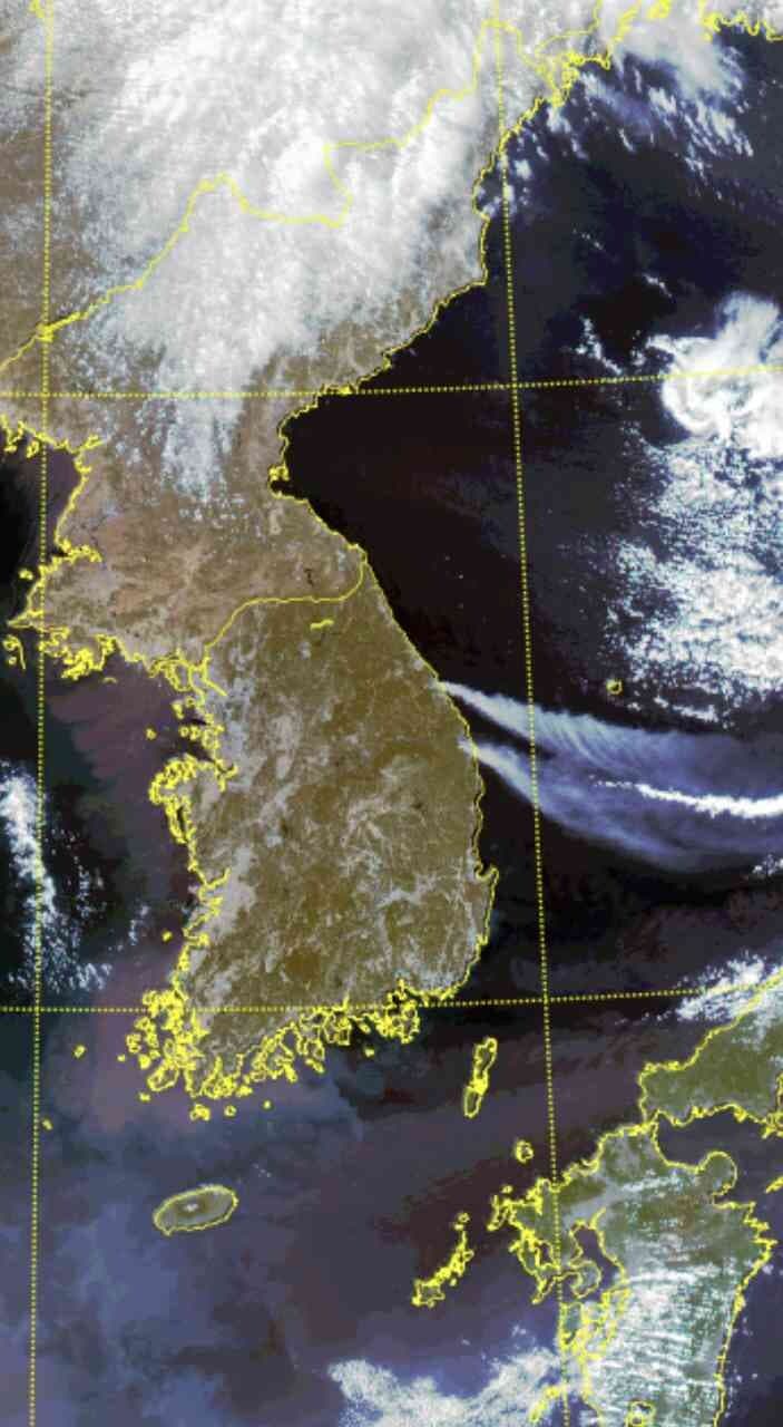 (비차량) 위성사진에서도 보이는 동해안 산불 게시글 썸네일