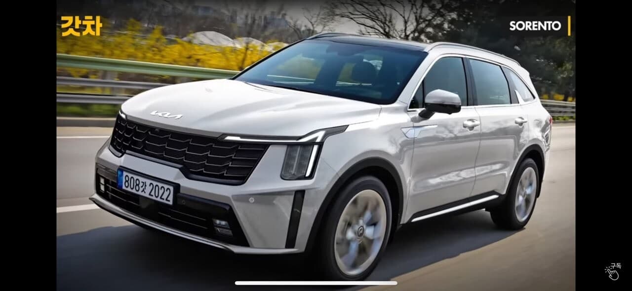 쏘렌토 페리 슬슬 올라오네요 게시글 썸네일