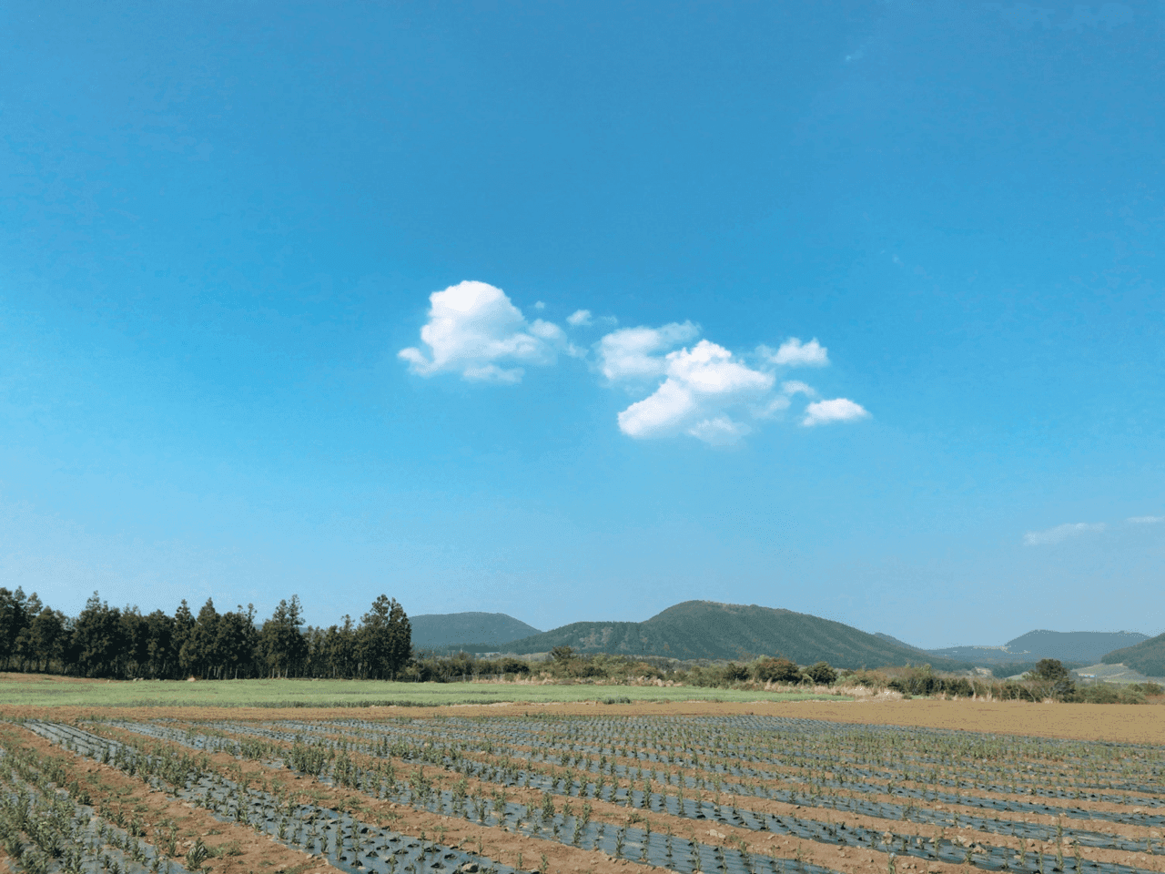 제주도 하늘 게시글 썸네일