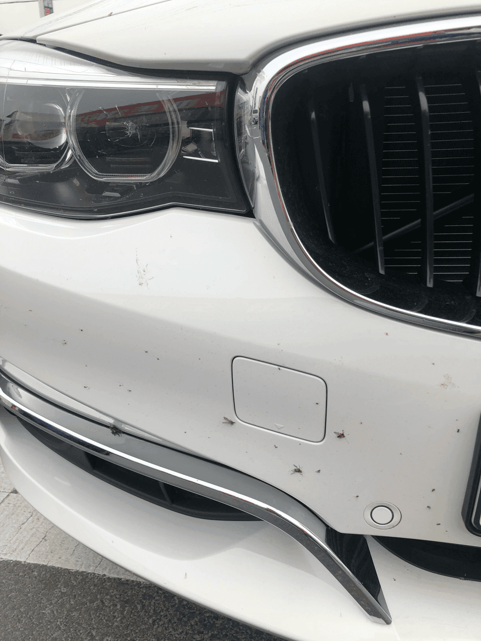 처참한 시신들 게시글 썸네일