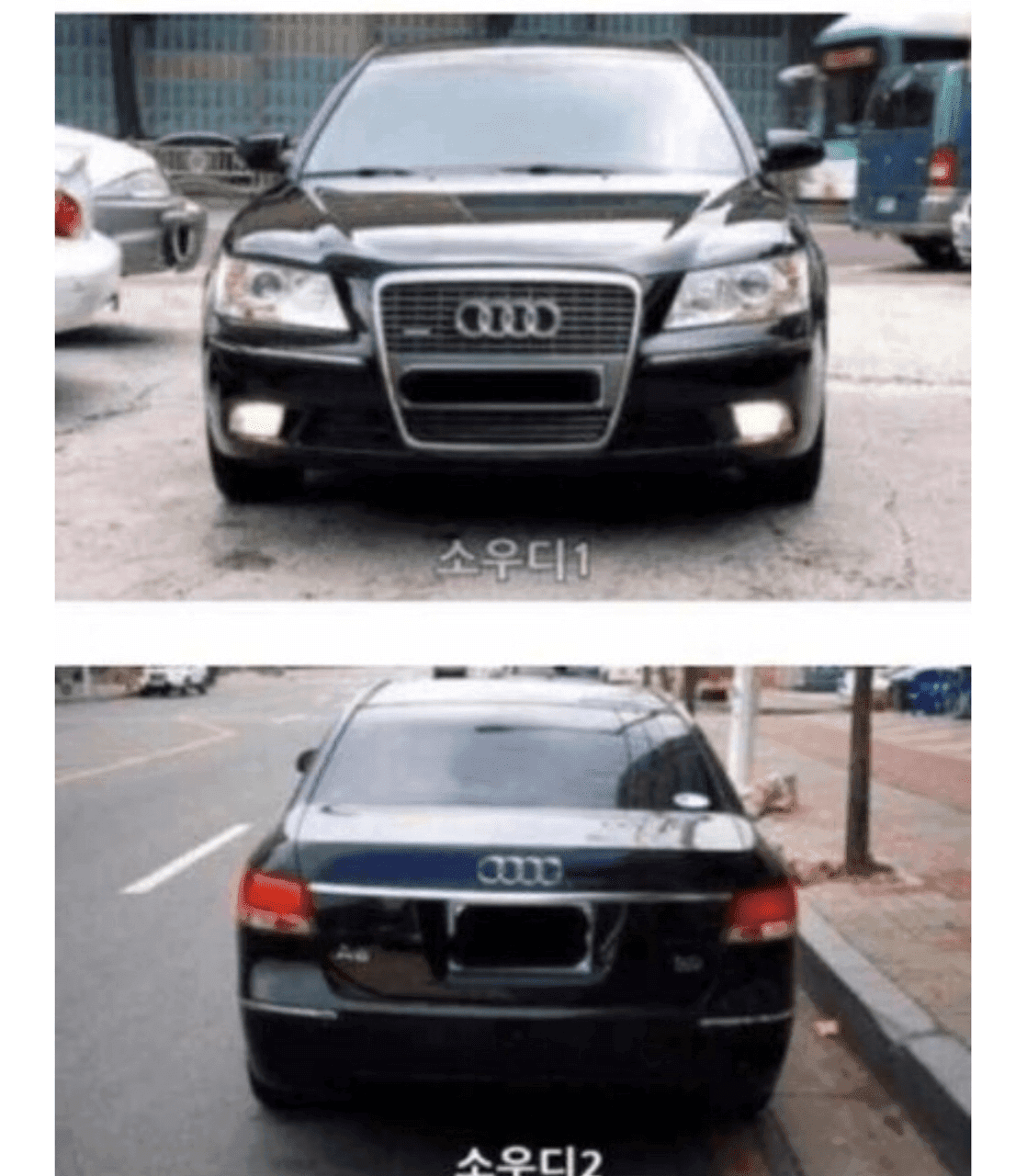 소우디외 다수 게시글 썸네일