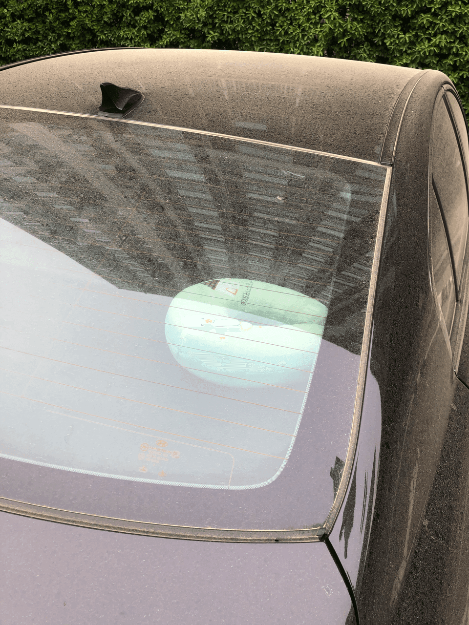 요새 꽃가루(?) 심각하네요 게시글 썸네일