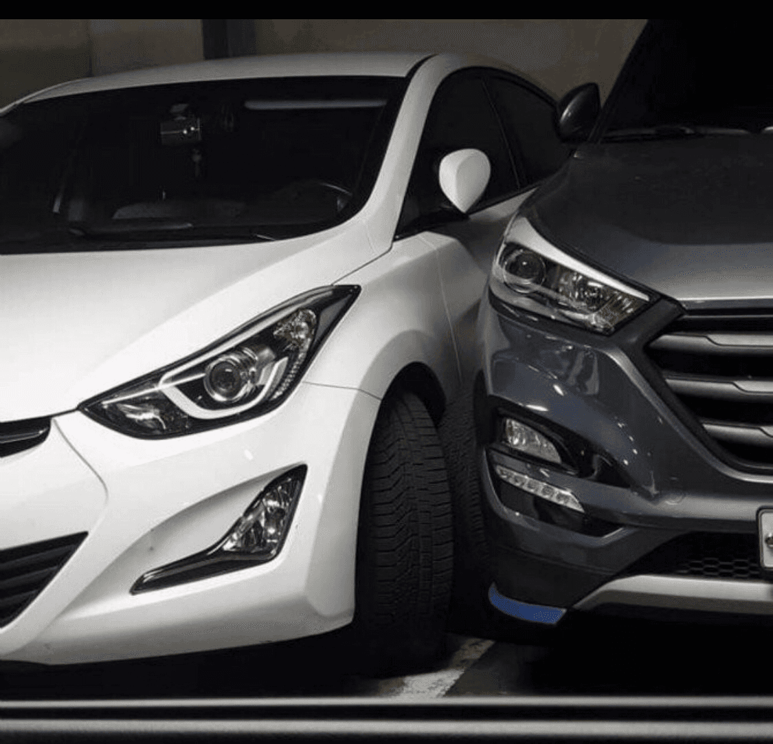 주차장의 혈투 게시글 썸네일