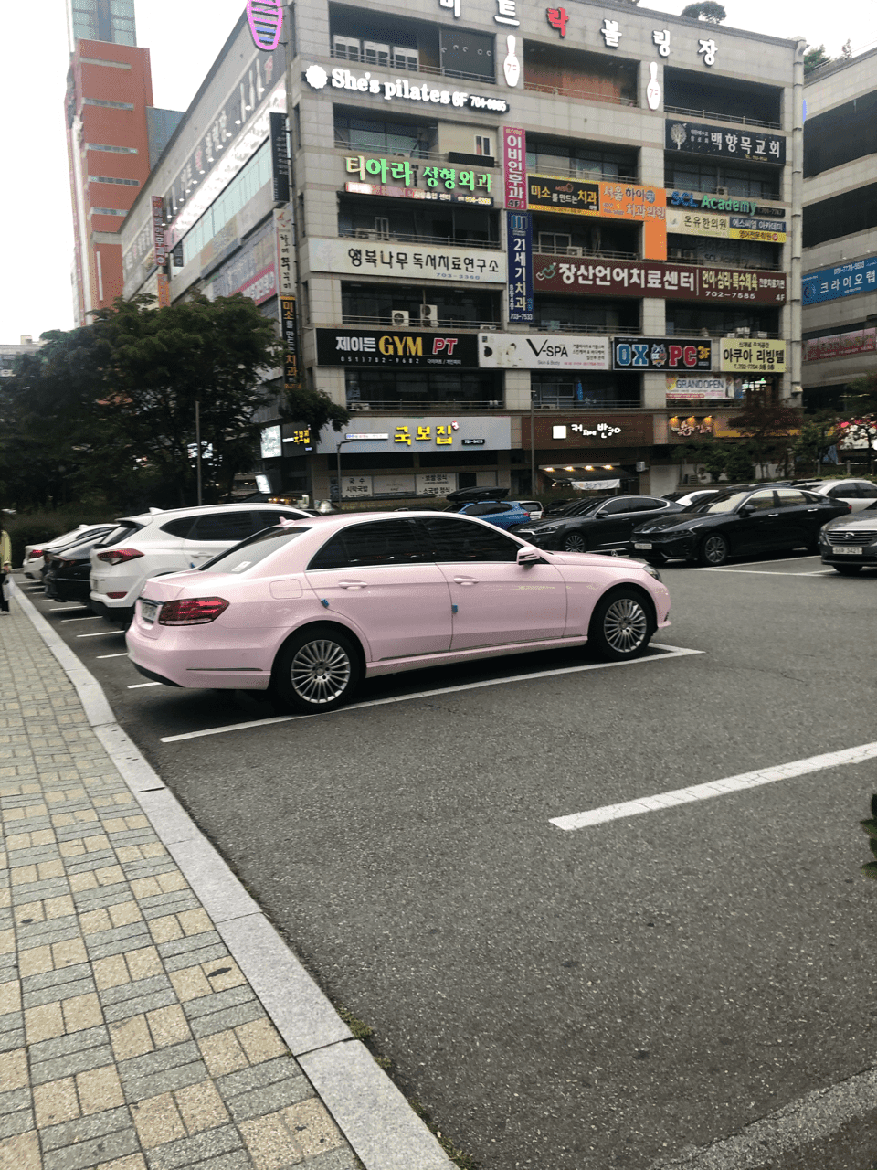 저번에 본 핑크이클 게시글 썸네일