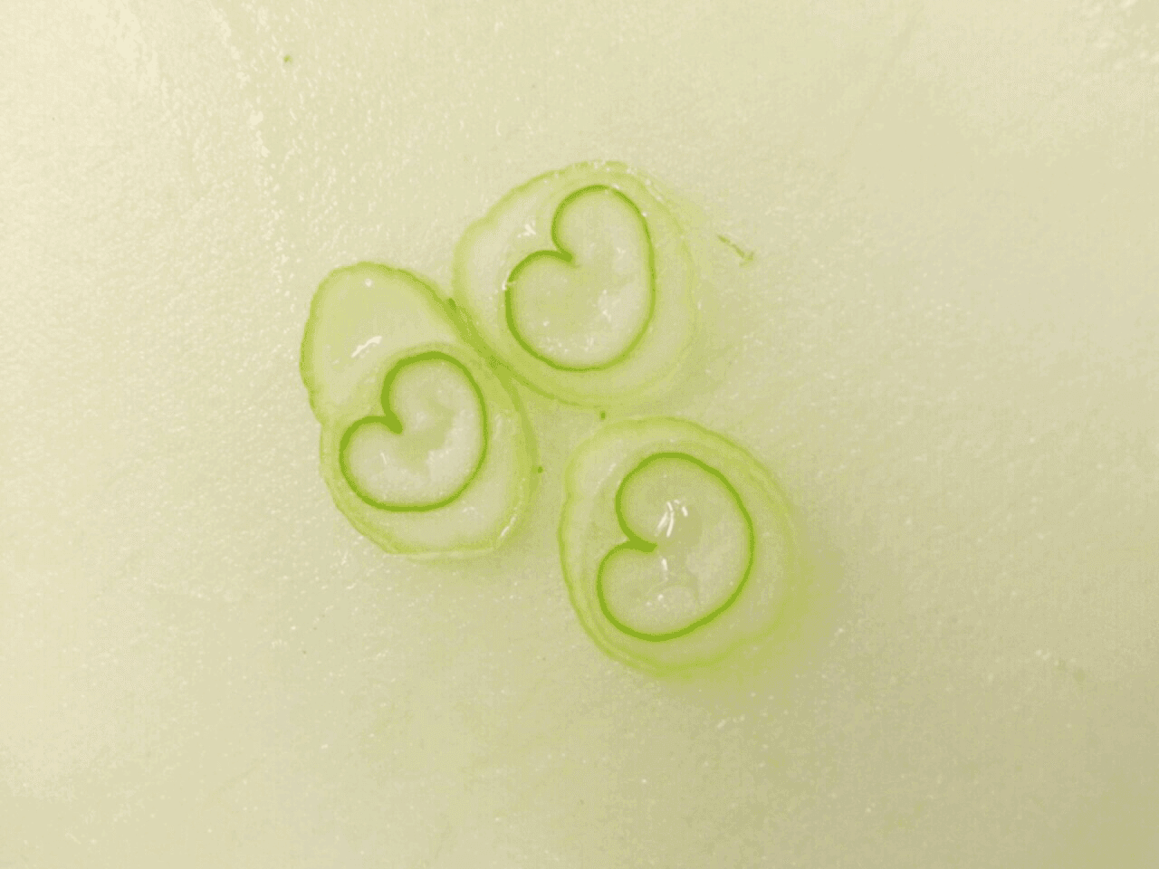 두번째 던지기 게시글 썸네일