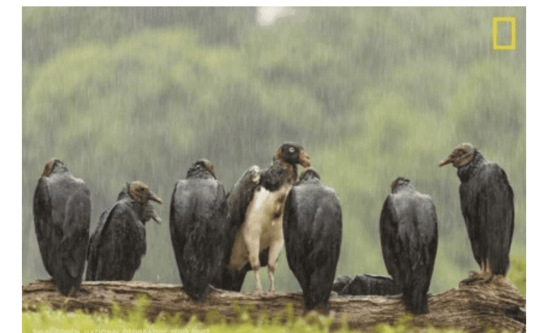 남자라면 공감할 사진 게시글 썸네일
