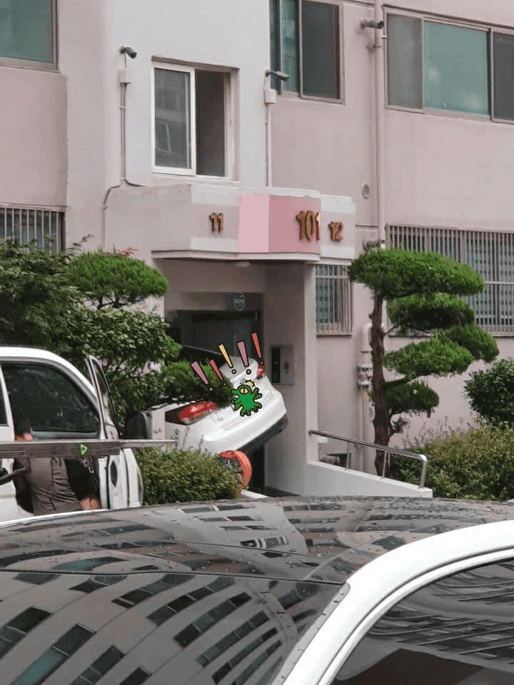 광주의 한 아파트 근황 jpg 게시글 썸네일