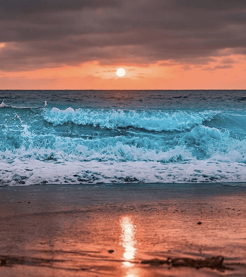 (비차량) 모처럼 (점잖은) 안구정화 시간가져볼까요? 게시글 썸네일