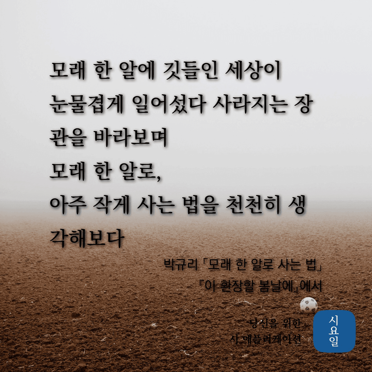 겟차 회원님들 또다른 관심주제 -시 2- 게시글 썸네일