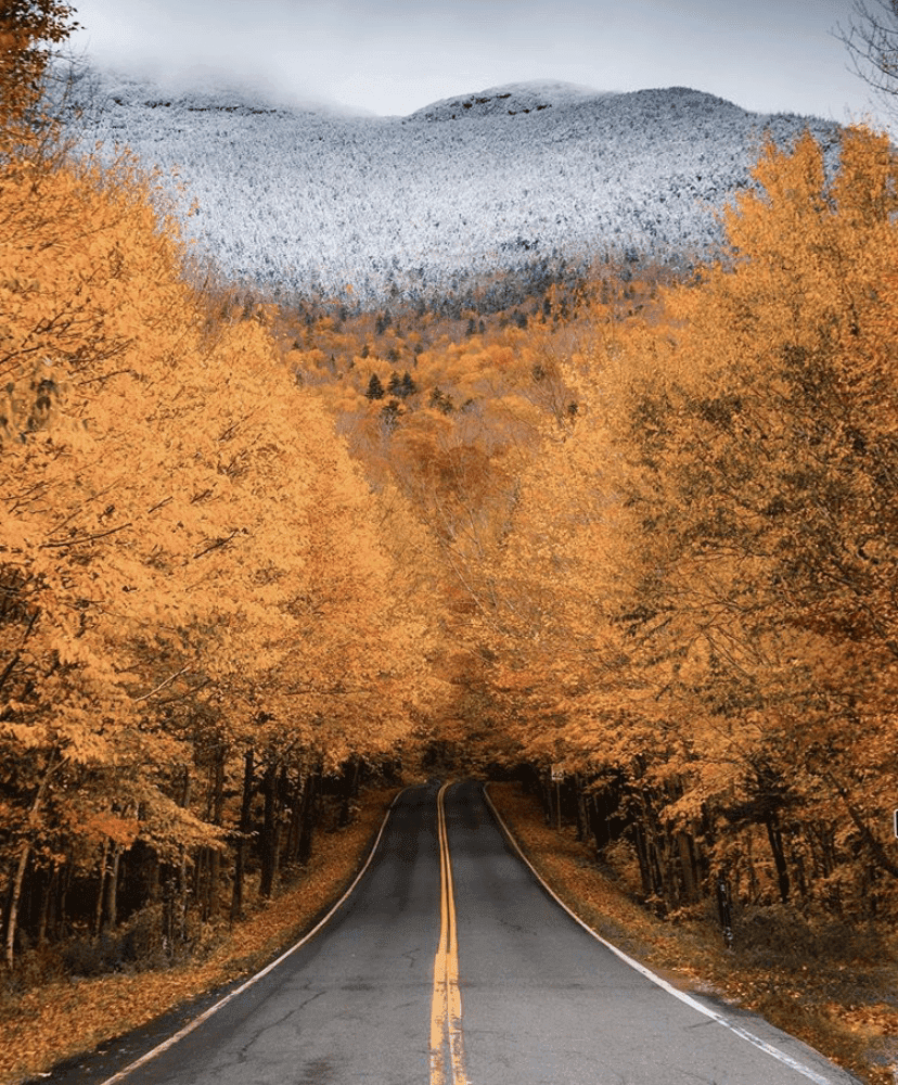 (비차량) 완연한 가을입니다  게시글 썸네일