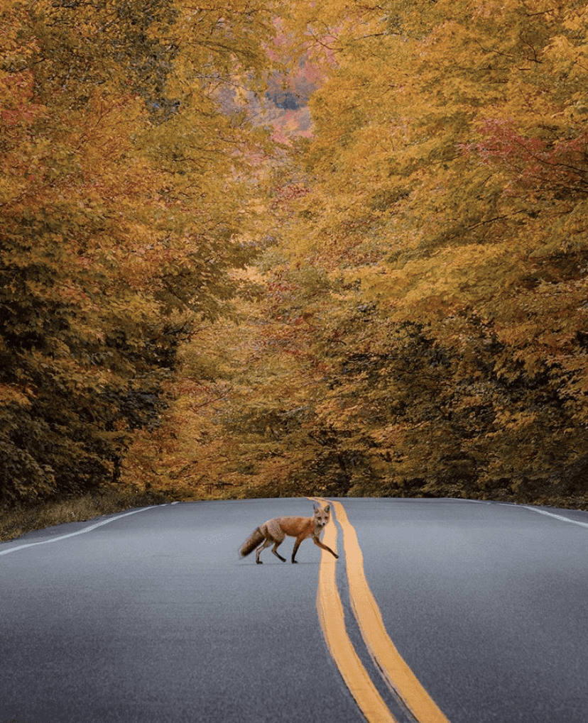 간만에 안구 정화용 배경사진 공유합니다  게시글 썸네일
