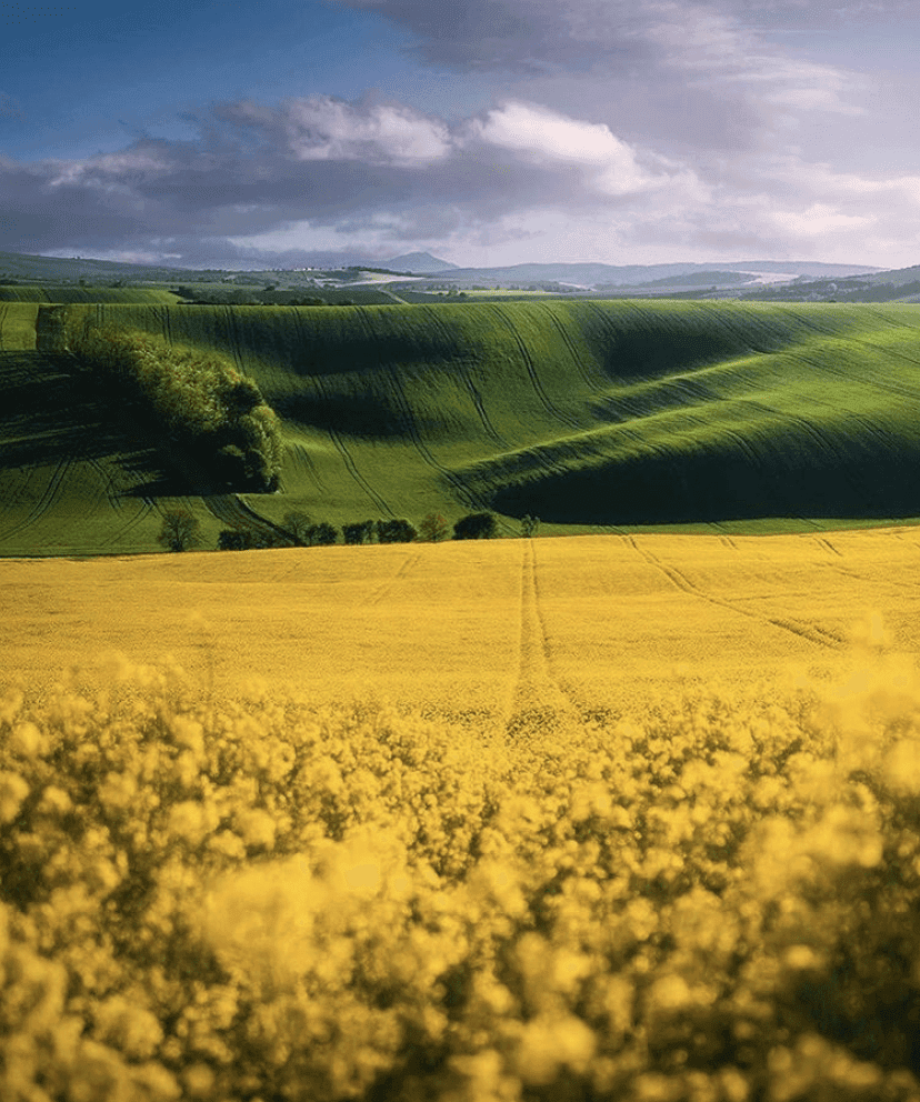 (비차량) 안구정화로 한 주 편안히 마감하시죠 ? 게시글 썸네일