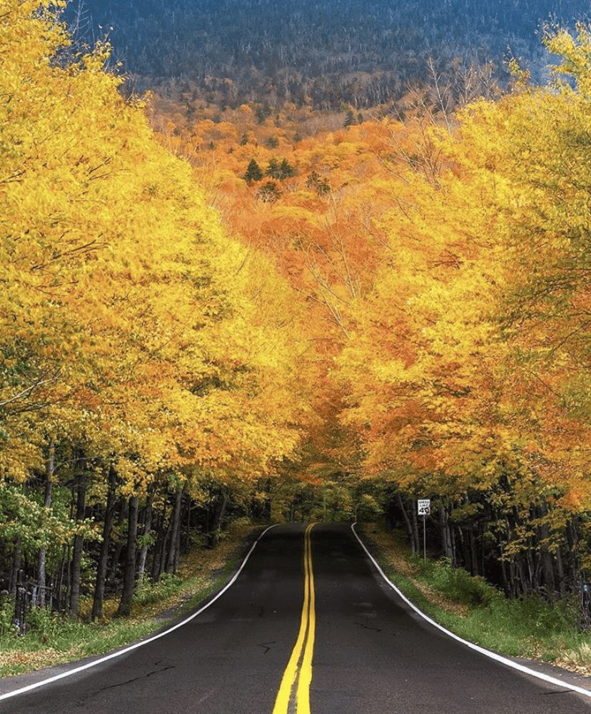 ?니들이 오프로드 맛을 알아 (Sheriff Woody)? 게시글 썸네일