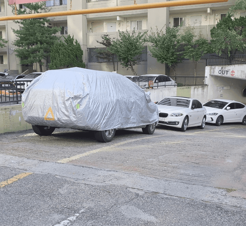 요놈 정체가 뭘까요?!  게시글 썸네일