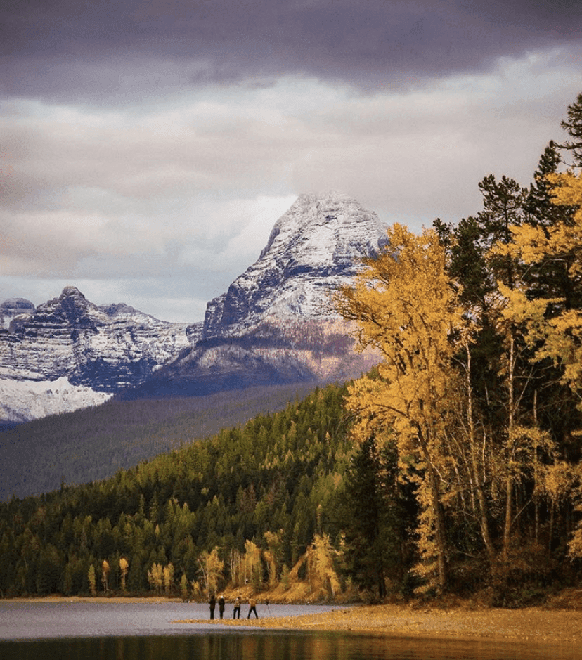 (비차량) 님아 가지마요 아 가을이여...!  게시글 썸네일