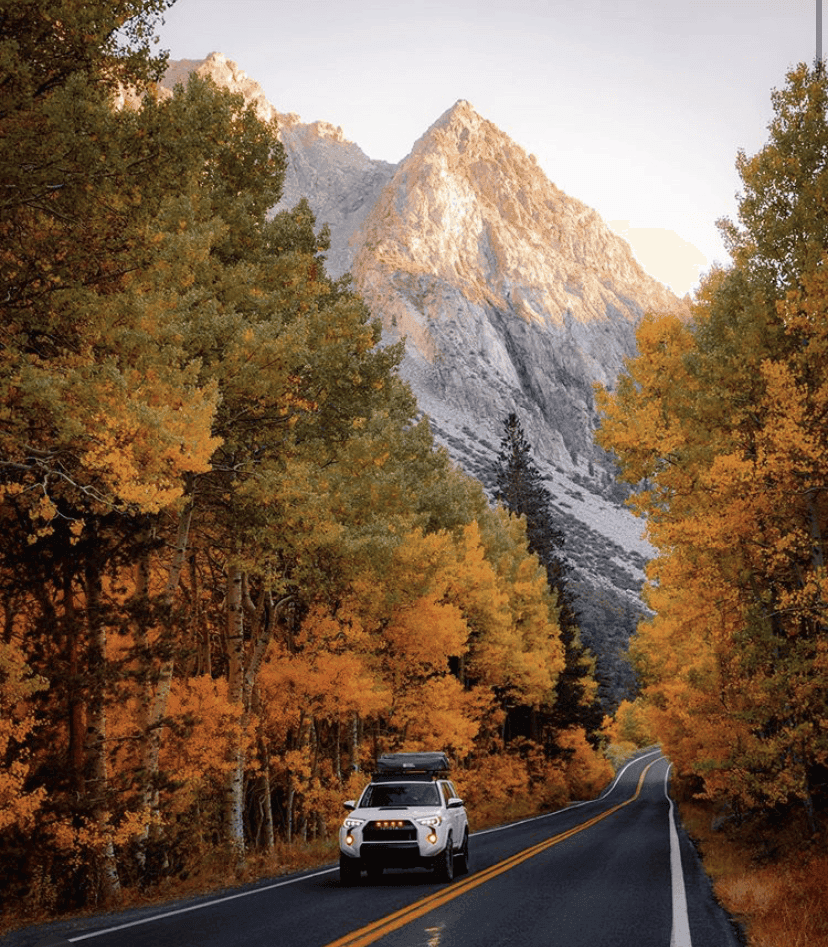 (비차량) 아직 가을 안 끝났네요 게시글 썸네일