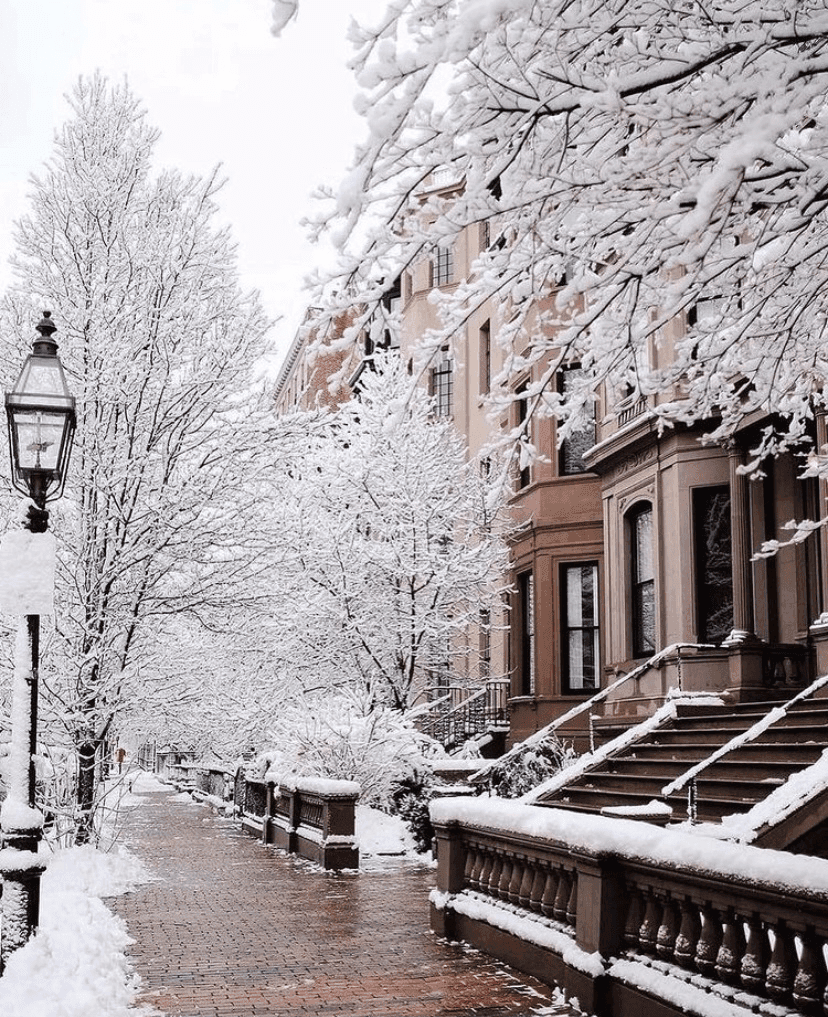 (안구정화) 눈오는 보스턴 게시글 썸네일