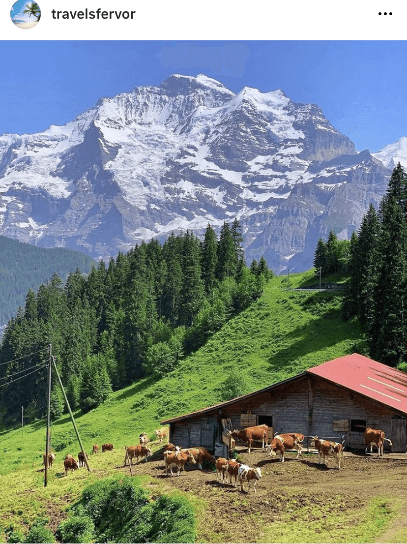 (안구정화) 스위스로 떠나봅시다  게시글 썸네일