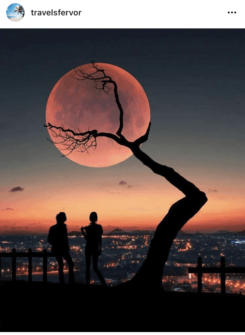 (안구정화) 한 해를 넘기며—모두 새해 복많이 받으세요 게시글 썸네일