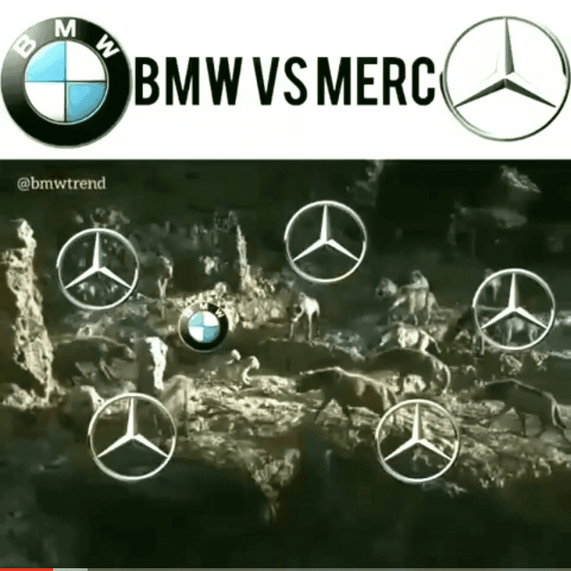 Benz VS BMW 전쟁—피처링 “동물의 왕국” 게시글 썸네일