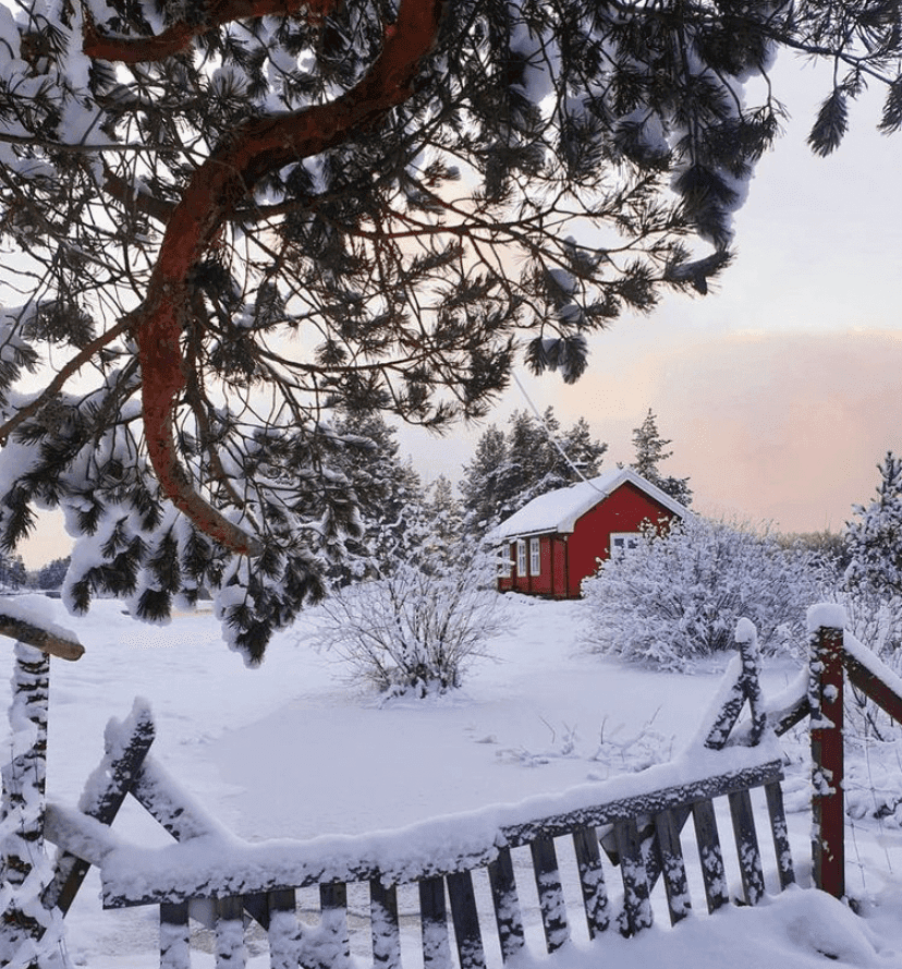(라떼 음악) ? 눈을 부르는 혹은 어울리는 ?  게시글 썸네일