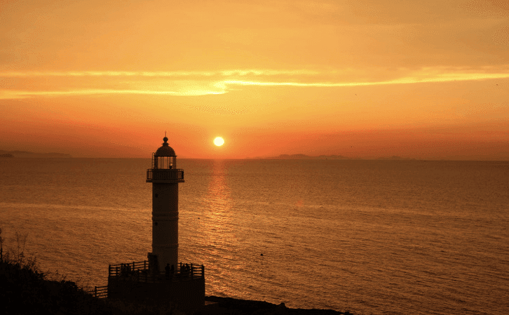 (드라이브 맛집) 영광백수해안도로~내장산 -2- 게시글 썸네일