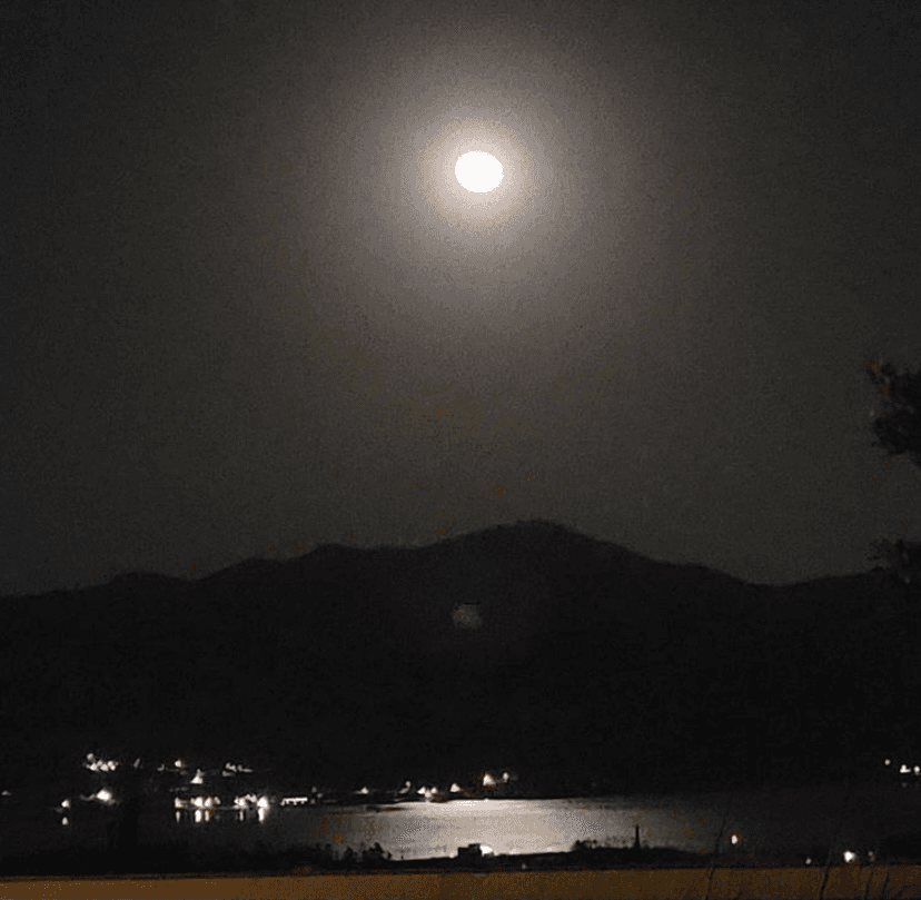 (비차량) 밤의 달 VS 낮의 달 게시글 썸네일