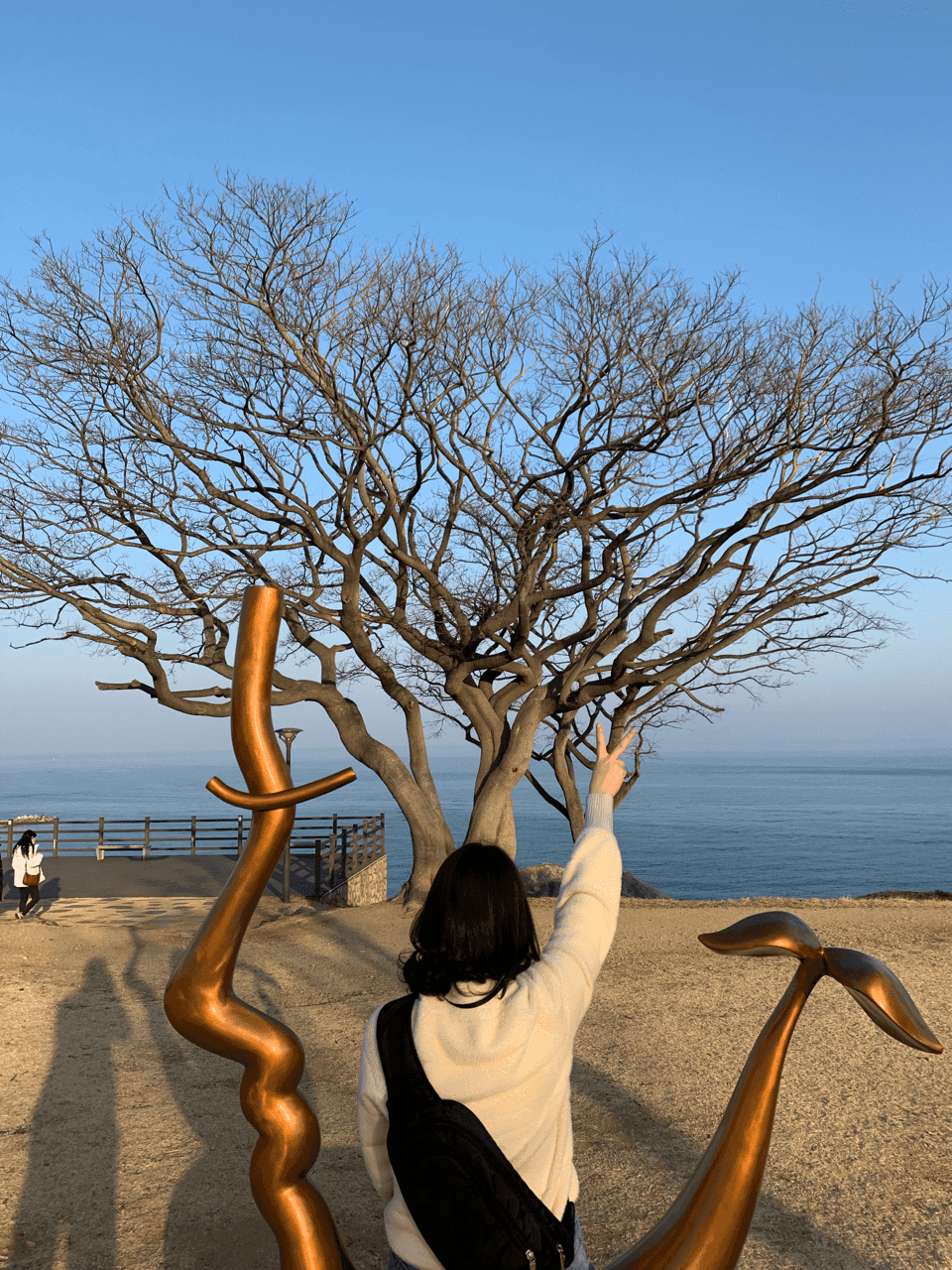 부산-울진-인제 왕복후 세차 게시글 썸네일