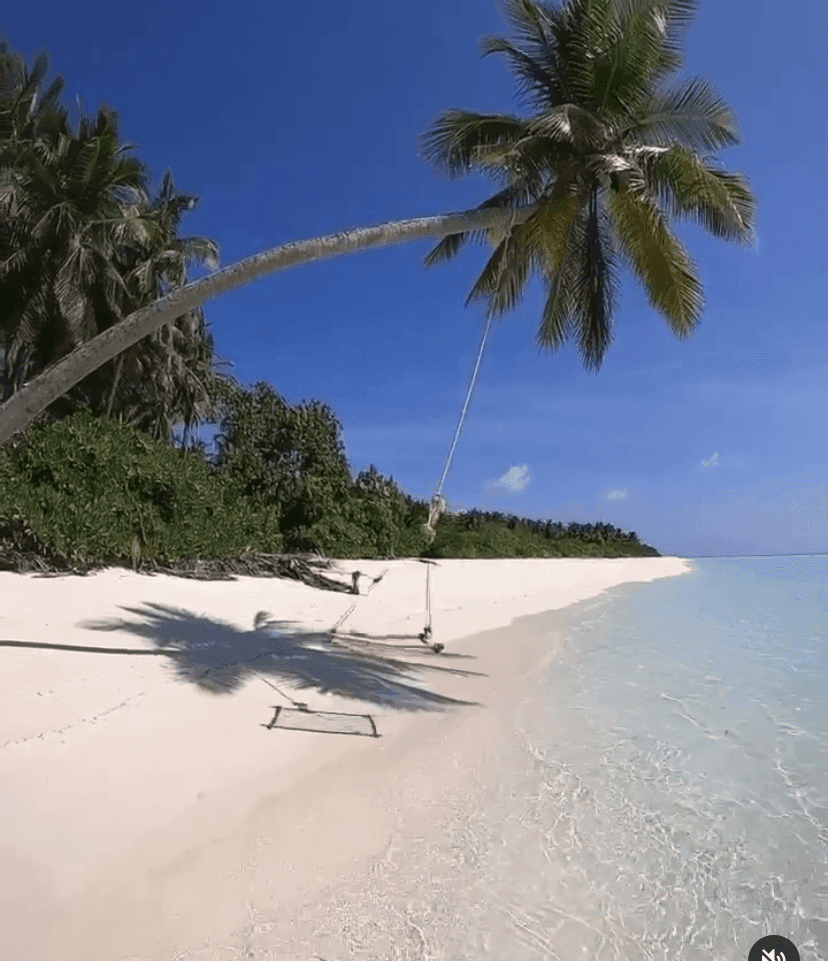 (안구정화) 봄을 재촉하는 비 보며 여름휴가 상상 게시글 썸네일