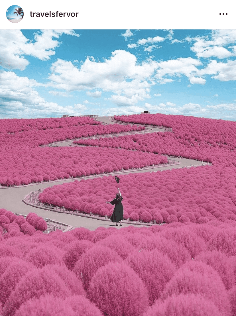 겟차 이벤트 건의  게시글 썸네일