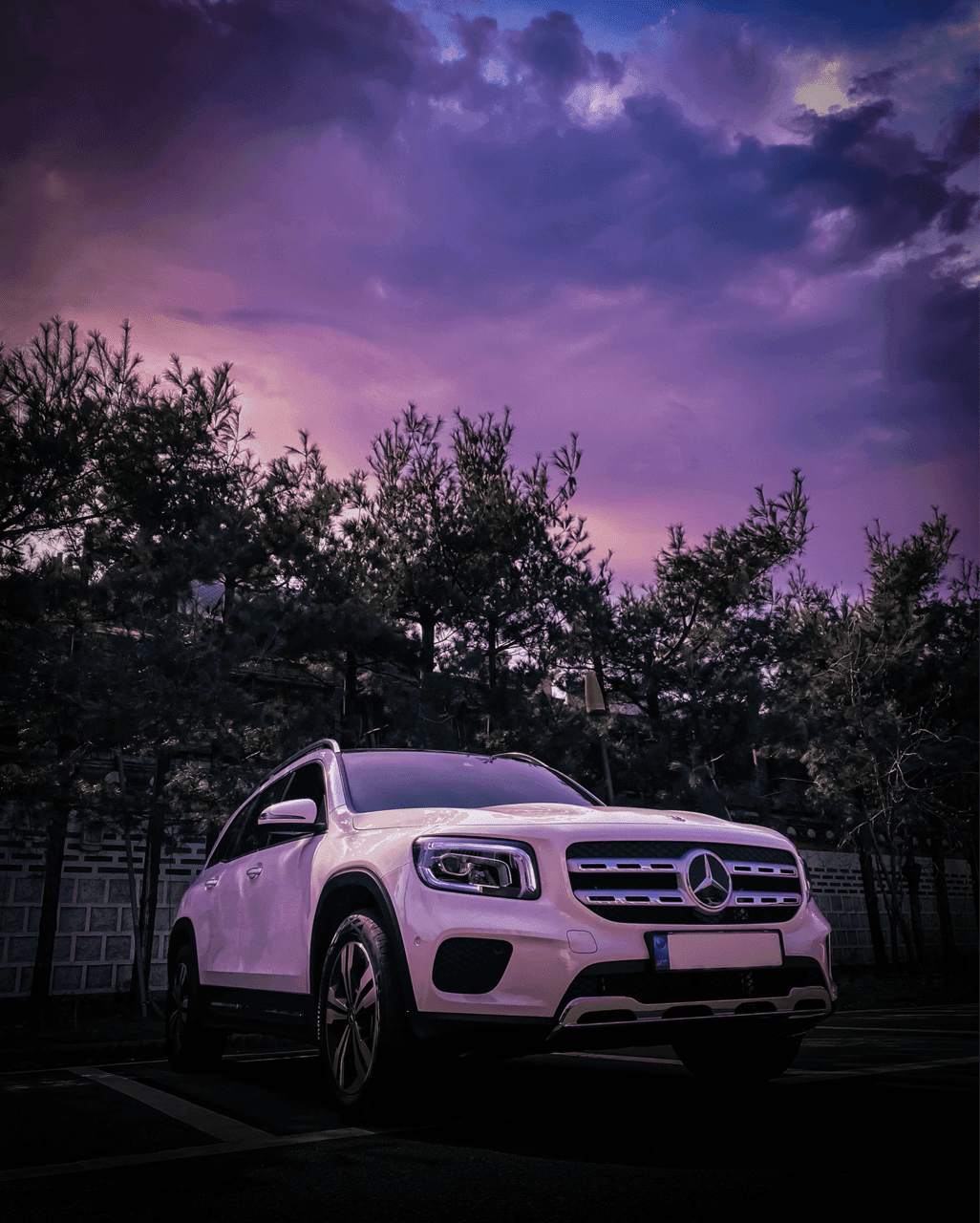 GLB 데리고 찍은 사진들... 게시글 썸네일