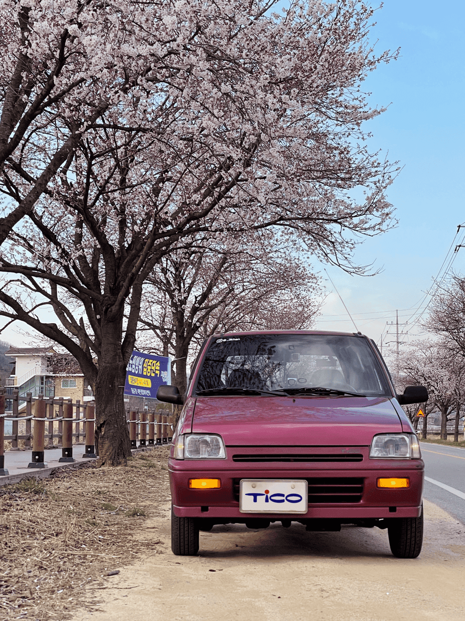 벚꽃 끝물에 드라이브 영상~ 게시글 썸네일