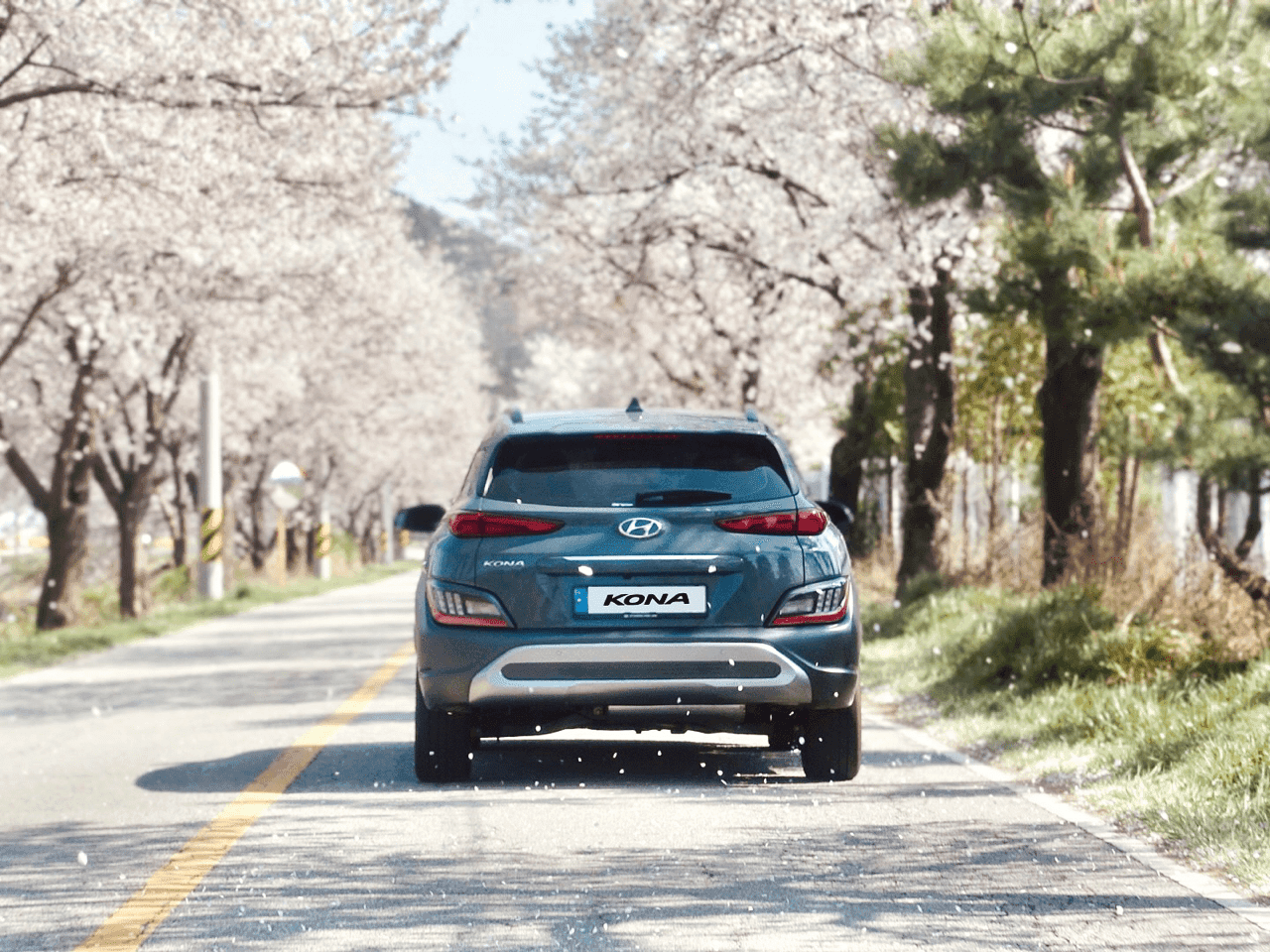 현대 KONA Hybrid 1.6 인스퍼레이션 게시글 썸네일